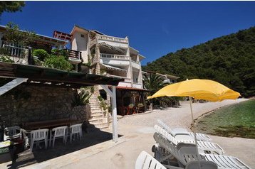 Horvātija Privát Sućuraj, Eksterjers